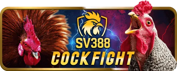 Sòng bạc trực tiếp Rick88